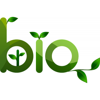 Экологичный тренд: Сумки-Шопперы