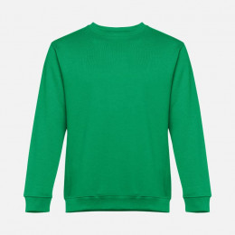 Свитшот унисекс Delta, зеленый