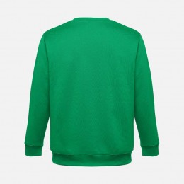 Свитшот унисекс Delta, зеленый