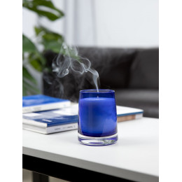 Ароматическая свеча Fragnola, пряная древесина и кардамон, темно-синяя