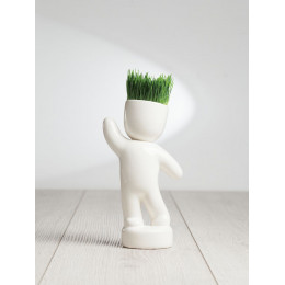 Набор для выращивания Funky Buddy