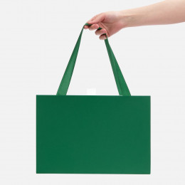 Коробка Regalis, зеленая