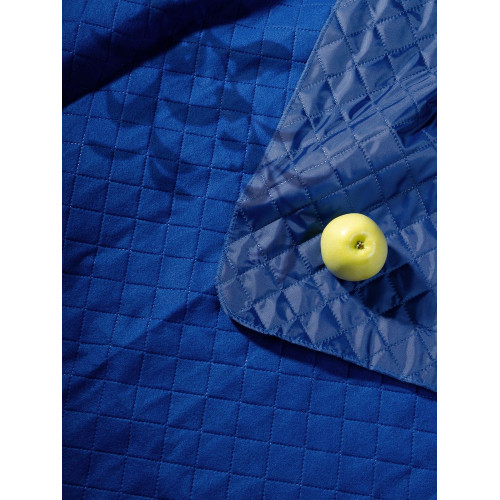 Плед для пикника Soft & Dry, ярко-синий