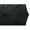 Зонт-трость Lui, черный