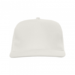 Бейсболка прямой козырёк STAN 5 клиньев хлопок 330, 09