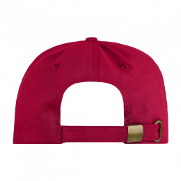 Бейсболка STAN 5 клиньев хлопок, 260, 112