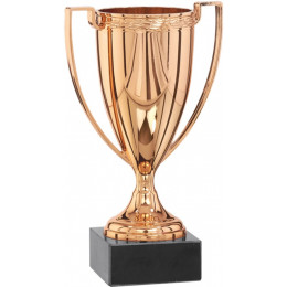 Кубок 9025/B (20см)