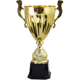 Кубок 3537E (25 см) D-100